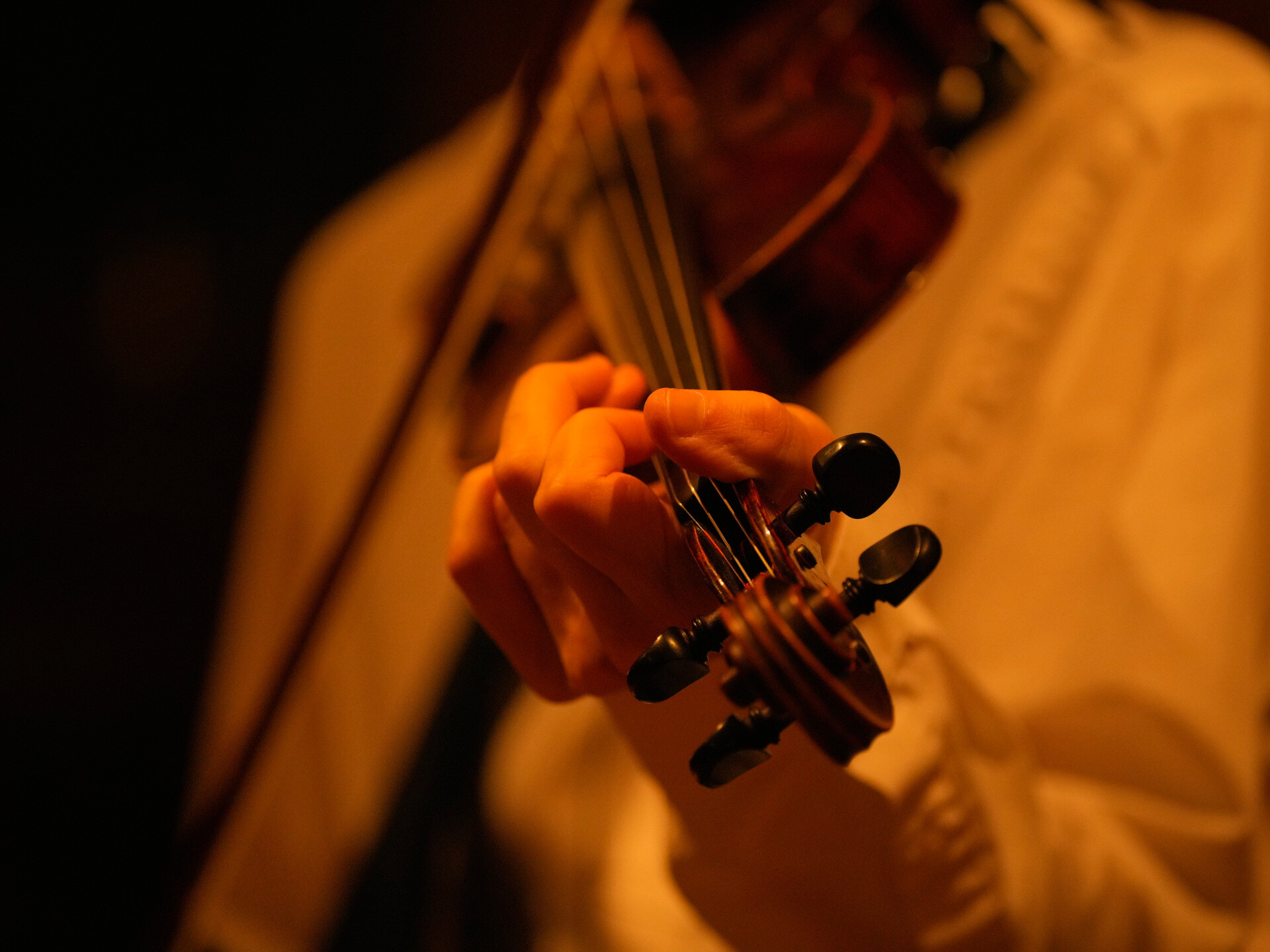 Violin